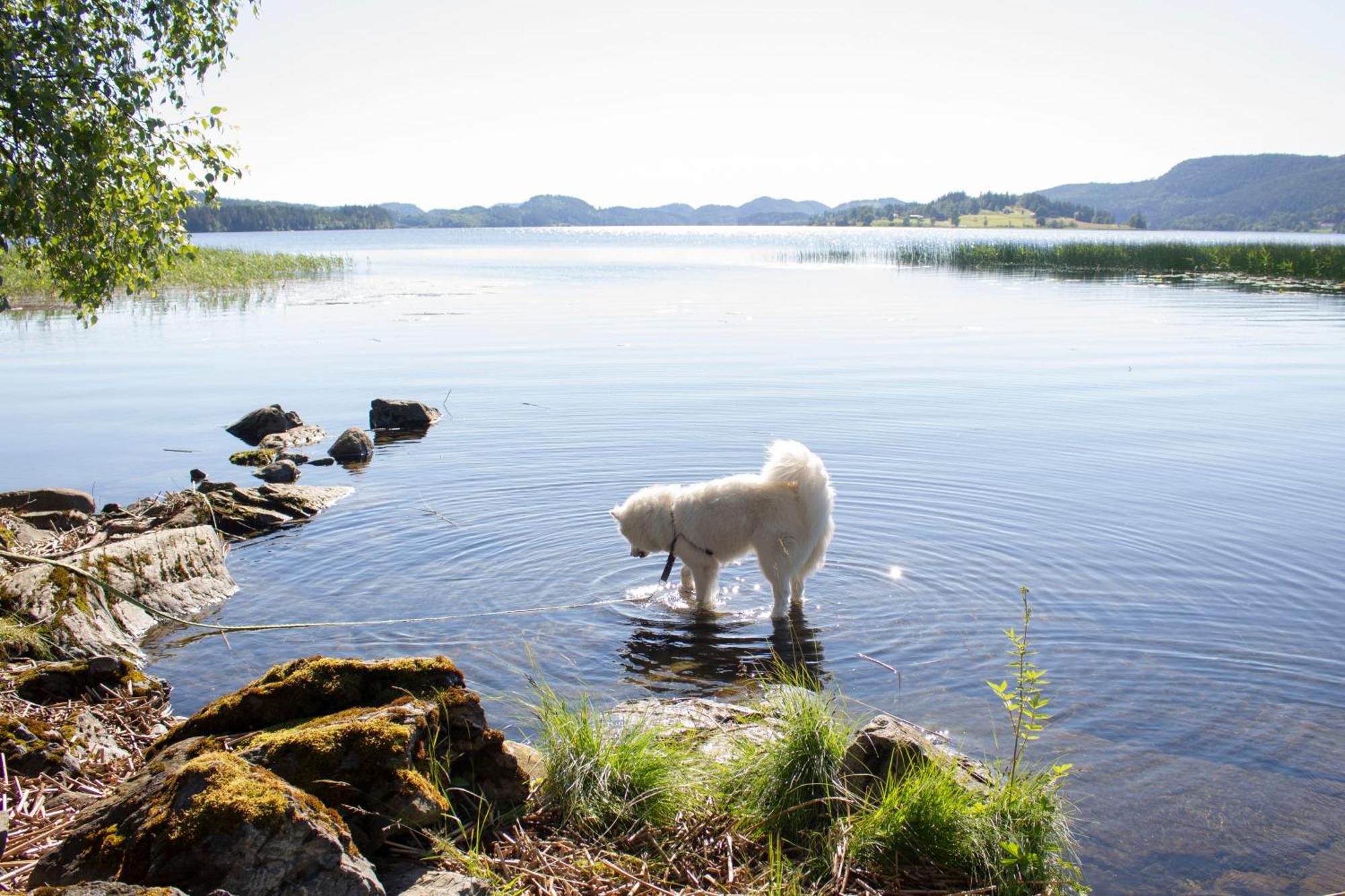 Gapalux Campsite Levanger